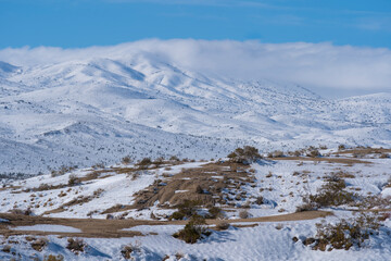 Fototapeta na wymiar Snow in the Joshua Tree Desert, California