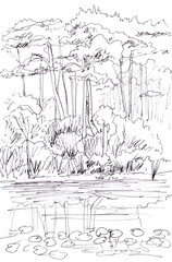 landscape with pine trees and reflections, graphic monochrome linear drawing on white background