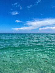 Fototapeta premium turquoise waves crashing on the beach