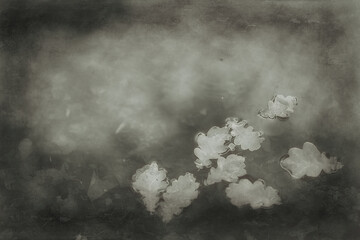 abstract autumn fall background leaves yellow nature october wallpaper seasonal