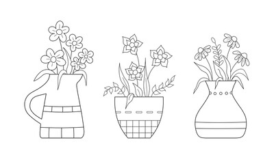 beautiful potted plants, set of three types of flowers in decorative containers, black and white illustration isolated on white 