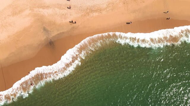 Top view in a bech with drone