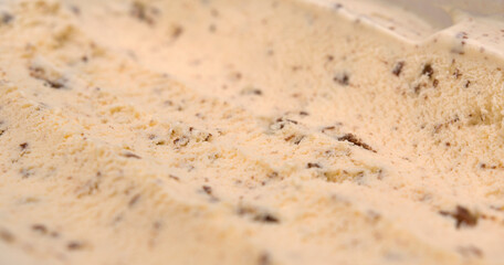 Ice cream flavoured Chocolate Chip surface, Front view Blank for design.