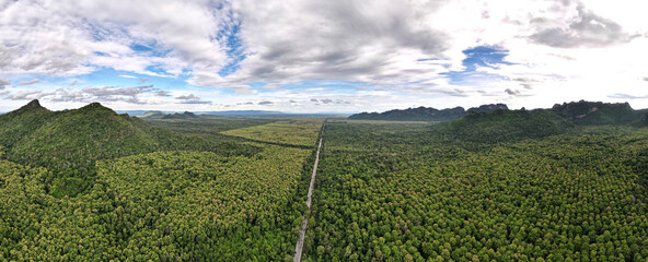 Move the camera, Flying Aerial drone shot panoramic view, Road over the top of a mountain green jungle forest on mountain background.
