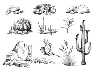 A set of plants succulent, stones and cactus with flowers a vector illustrations - obrazy, fototapety, plakaty