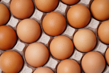 brown chicken eggs in egg carton on background