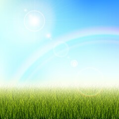 Background for a presentation on ecology. Grass with the glare of the sun. Abstract vector illustration of grass on a blue background with a rainbow and sun glare.