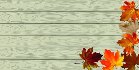 Vector illustration maple leaf in autumn on white wood plank background. 