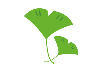 緑と黄色のイチョウの葉