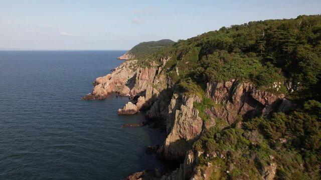 Drone flying over beautiful landscape, cliff, forest and ocean, Kullaberg Sweden