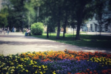 Obraz premium spring in the park