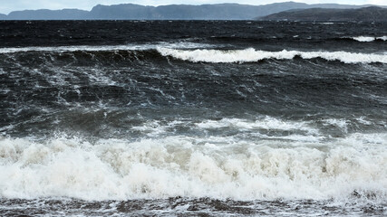 White foam waves run on the rocky shore of the white sea. Dramatic sky, epic seascape. A storm at sea. Nordic, Barents Sea, ocean