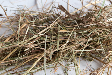 Hay from the alps for hamsters and rabbits