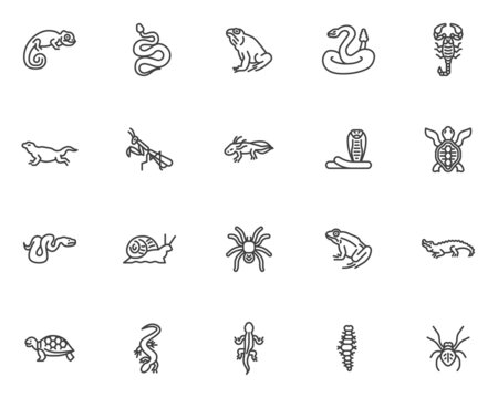 Reptiles and amphibians line icons set
