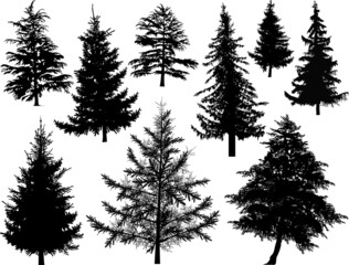 set of nine black firs