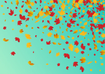 Red Leaves Vector Blue Background. Collection