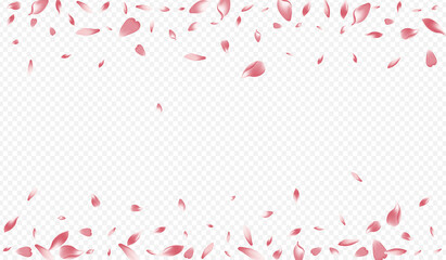 Light Peach Vector Transparent Background.