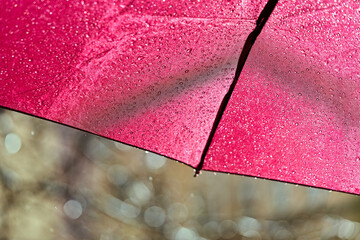 Fragment of a red umbrella with raindrops on a sunny summer day