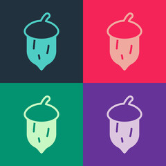 Pop art Acorn, oak nut, seed icon isolated on color background. Vector
