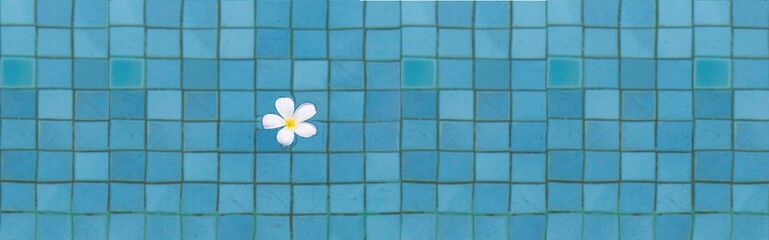 Panorama of The flowers float in the water at the pool inside the hotel for use as a background