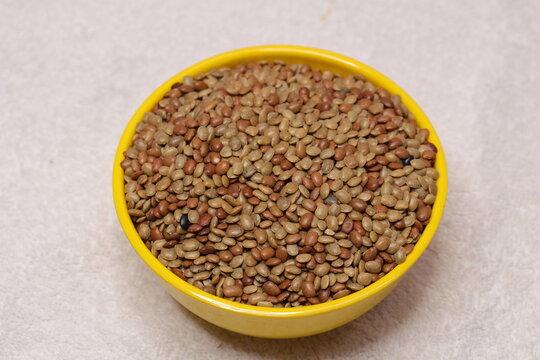 Horse gram or Macrotyloma uniflorum isolated on white background