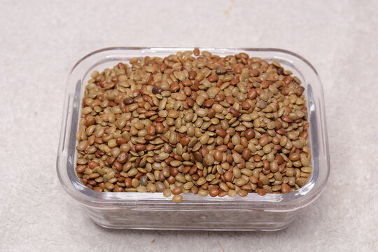Horse gram or Macrotyloma uniflorum isolated on white background