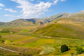 Naklejka premium Castelluccio di Norcia beautiful fields landscapes in Marche region, Italy