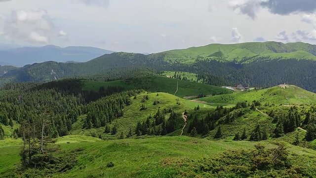 Serene summer landscape in the alpine area of Ciucas Mountains , part of the Carpathian range , widespread coniferous forest with specific species of plants and trees , Romania.