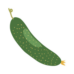 Fresh juicy green cucumber in a modern hand drawn style. Ripe vegetable. Organic healthy food. Flat vector illustration isolated on white background