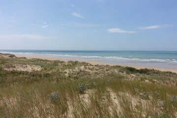 Vue de la grande plage depuis les dunes du Jaunay