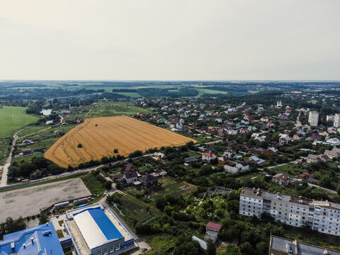 Wheat field near city suburb, local farming concept in Europe. Locally grown food. Sustainable agriculture. Aerial view of village life. Drone point of view