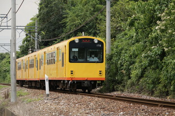 Naklejka premium 三岐鉄道北勢線の特徴ある電車
