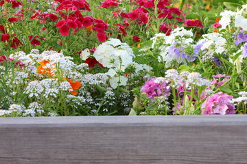 Kolorowe kwiaty w drewnianych skrzynkach