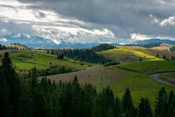 mountainous countryside in early autumn. trees and grassy meadows on rolling hill. nature scenery with dramatic sky on a sunny day. windy weather and dappled light