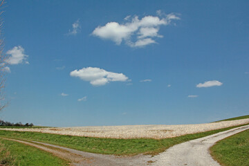 Fränkische Landschaft im Frühling
