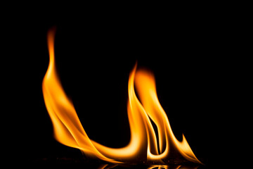 Fire flames on black background.