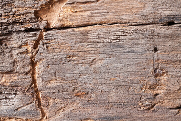 Texture old wood background.