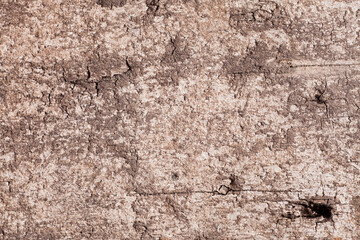 Texture old wood background.