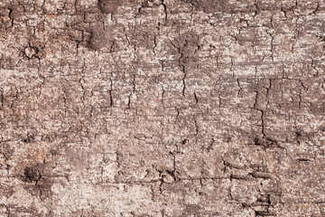 Texture old wood background.