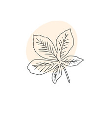 autumn leaf vector illustration. abstract simple botanical illustration isolated on white background. Worksheet in a graphic and flat style. stylish illustration of a leaf in doodle style