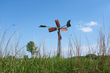 Fototapeta premium Nature reserve Weerribben-de Wieden, Overijssel Province, The Netherlands