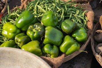 Fresh and Organic Capsicum or Bell Pepper with Selective Focus in an Indian Vegetable Market for Selling
