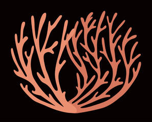 Two sprigs of red coral on a black background