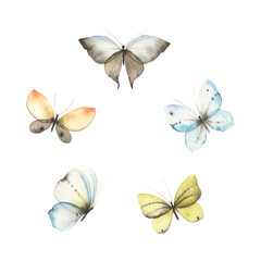 Set of flying butterflies, watercolor collection delicate butterflies for your design.