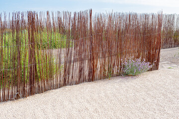 Wicker fence surrounding native plants in the dunes of the beach