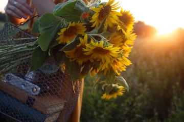 Rolgordijnen Girl and sunflowers © Sergii Mostovyi