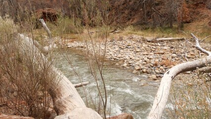 Mountain river in Zion national park, autumn in Utah, USA. Stream in rainy red canyon, terracotta stones and creek. Foggy weather and calm fall atmosphere. Eco tourism in United States of America.
