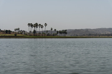 Vishal Khadi Eco Campsite. beautiful palm trees, water reflection, green field, huts, lake