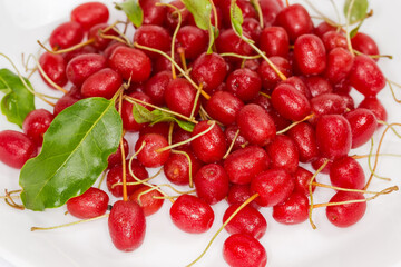 Heap of washed cherry elaeagnus or gumi berries close-up