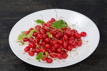Cherry elaeagnus or gumi berries on dish on dark surface